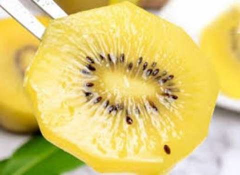 تصویر 3 از قیمت خرید کیوی هایوارد طلایی ازبکستان + فروش ویژه